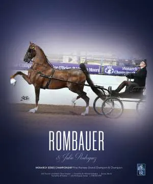 Rodriguez4.jpg