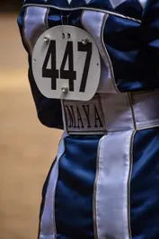 3635017ea1afff1f654c3cd84d18358ca6279181a2f12f2ffa23c87a07574086_1_IzAwMDgwMF8xMDA=.jpg