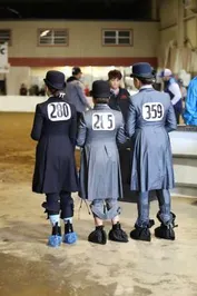 0fb818e81cdf6deba5e226c7c9218cf8be9fdce3c26c68d54ff2b7c5df3afd5d_1_IzAwMDgwMF8xMDA=.JPG