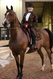 d6fc18923513c5e1d80f4289faae36f81de20a67f76b0a082ae1e240134a8251_1_IzAwMDgwMF8xMDA=.JPG
