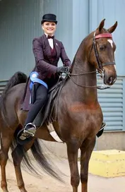 c8db9d3e86cd0428e588733772ae2a425b178ee072e53bfe3ee77e2fff004764_1_IzAwMDgwMF8xMDA=.JPG
