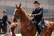 0dcba3911187132de97750ca42e6d95f0cde474cfb09a681cdf0f8fbe4641320_1_IzAwMDgwMF8xMDA=.jpg