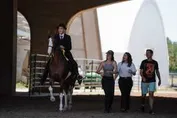 d9a5ac2688b4de43ba4252d333e318da5722f1ffd310ae9959015b38fba72723_1_IzAwMDgwMF8xMDA=.jpg
