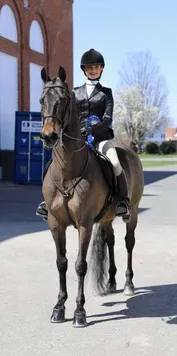 aafd9a5d8aea303370de67b1f96519b0e7dfdc8c1c75c481e59ed7dd382c69db_1_IzAwMDgwMF8xMDA=.JPG